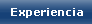 Experiencia Web